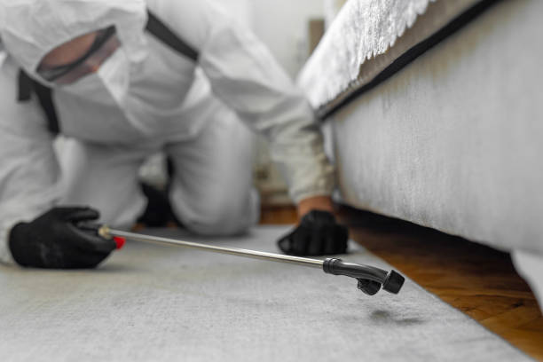 Professional Termite Control technician working in Laurel Bay, SC