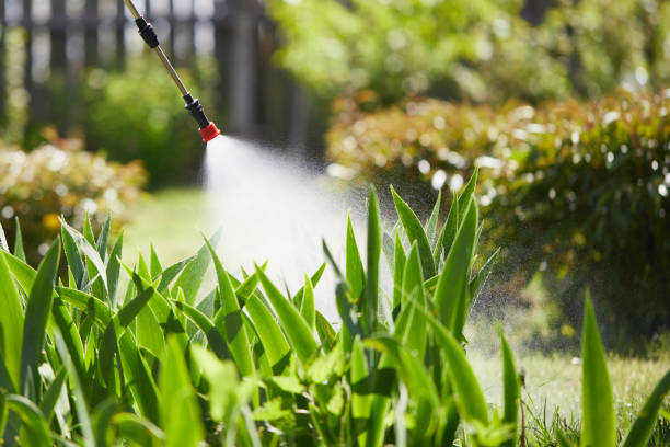24/7 Emergency Termite Control experts in Laurel Bay, SC