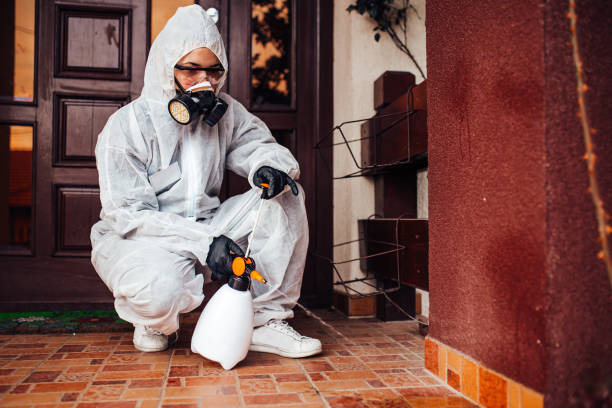 Reliable Termite Control contractor in Laurel Bay, SC by Nex Pest Control