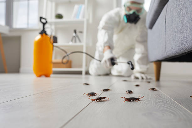 Trusted Fumigation Services service in Laurel Bay, SC - Nex Pest Control